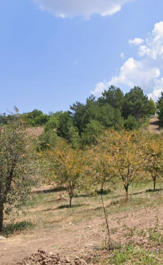 Dört Buçuk Dönüm Fırsat Tarla 3