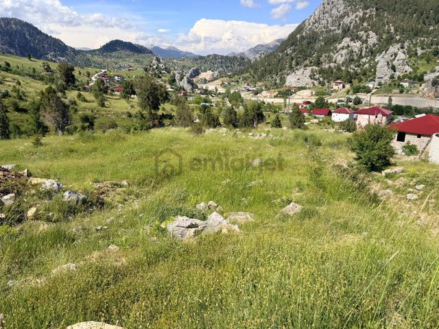 Alanya Kaplanhanı Yaylasında Satılık 2.224 M2 Tek Tapu Tarla 5