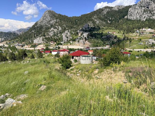Alanya Kaplanhanı Yaylasında Satılık 2.224 M2 Tek Tapu Tarla 4
