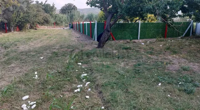 Bergama Bağlarda 1750 M2 Meyve Bahçesi(araç Ev Takas Olur 3