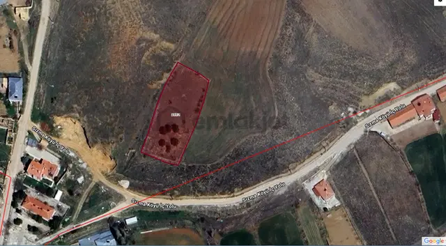 Sızma Da Fiyatı Cazip Acil Satılık Bahçe Yeri 1