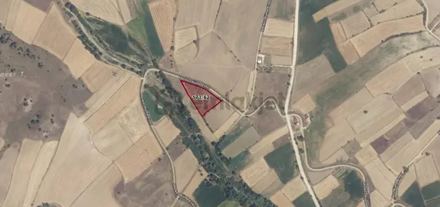 Bizim Emlaktan Duruçayda 3756 M2 Satılık Tarla 2