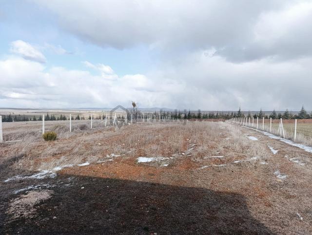 M-616 Seyitgazi / Sarayören Satılık Tarla İçi Ev 3