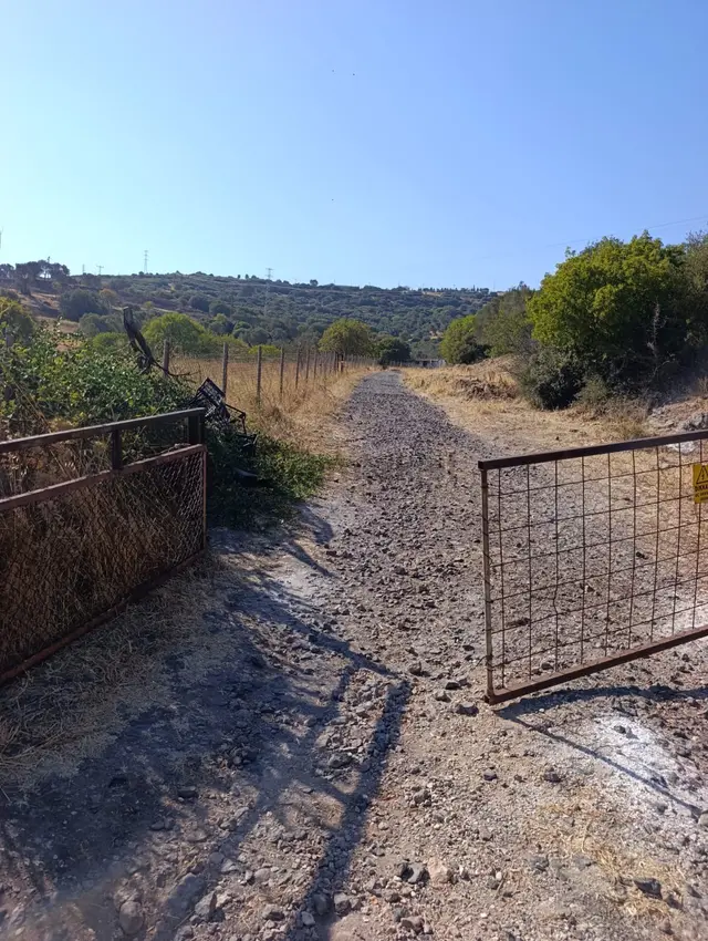 Eski Foçaya 2km Uzaklıkta Satılık Çiftlik Arazisi 3