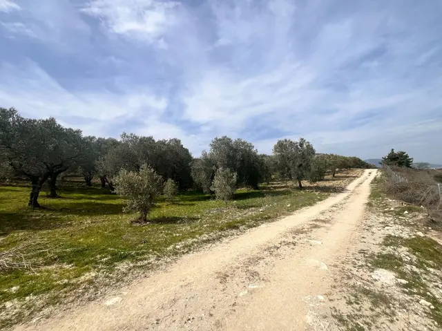 Manisa Kırkağaç Manisa Kırkağaç