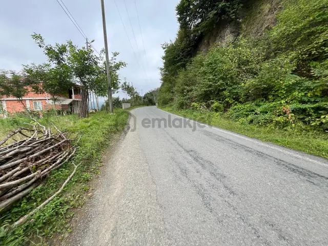 Trabzon'da Satılık Arazi 3