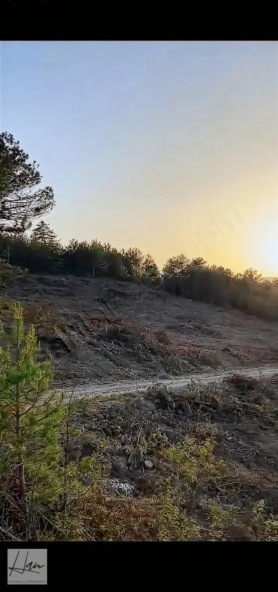 Mudurnu Yazılar Köyünde 3.125 M2 Resmi Yola Cephe Arazi. 2