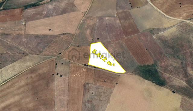Konya / Ilgın / Yukarıçiğil-küçük Mahallesinde 5.812 M² Müstakil Tapulu Tarla 4