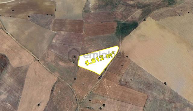 Konya / Ilgın / Yukarıçiğil-küçük Mahallesinde 5.812 M² Müstakil Tapulu Tarla 5