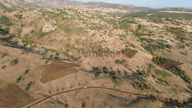 Güneysınır Gürağaç Da 1.900 M2 Müstakil Tapulu Bağ 4