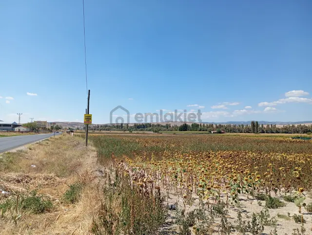 Seyitgazi Merkezde Ana Yola Sıfır Yatırımlık Tarla 3