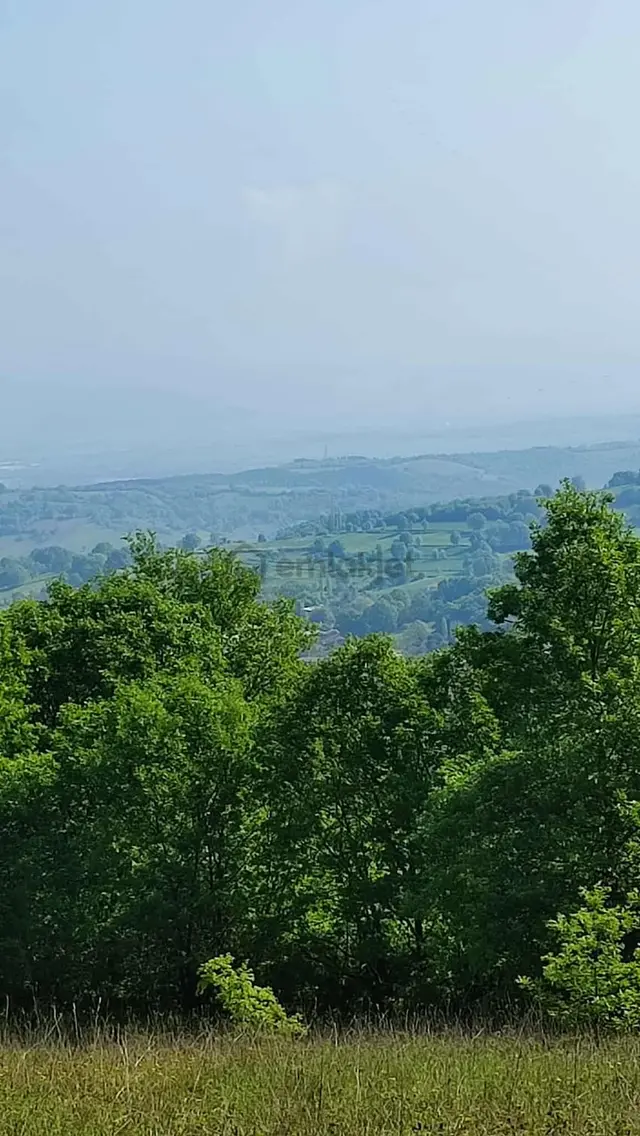 Bursa Mkp Muradiyesarnıç Turizm Bölgesinde Satılık Tarla 5