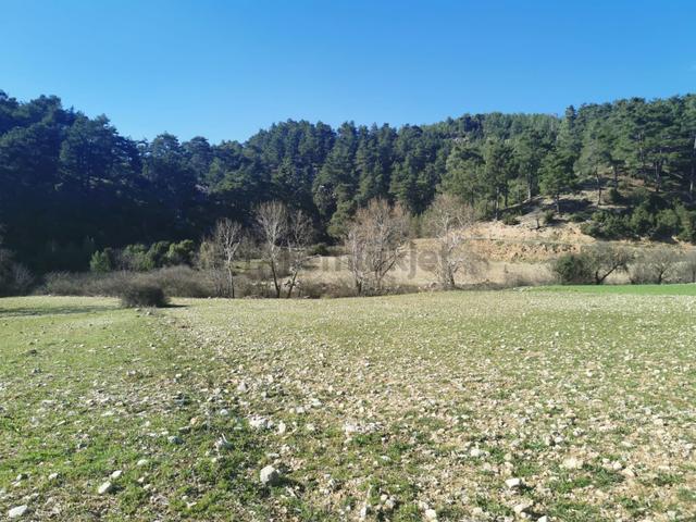 Muğla Menteşe Meke Mah. Satılık 3 Dönüm Tarla 3
