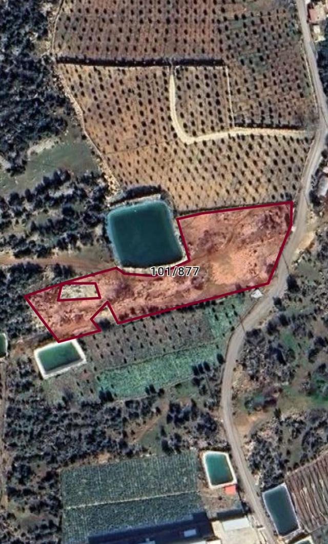 Thor'dan Satılık Erdemli Karaahmetli'de 5000 M2 Arsa 4