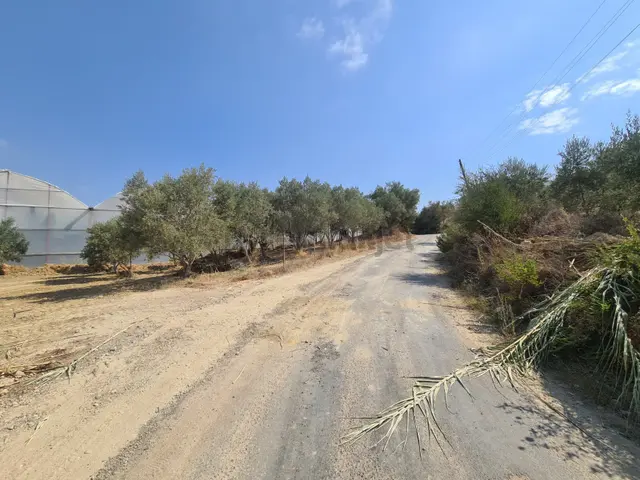 Full Deniz Manzaralı Yola Cephe Denize 6 Km. D400 Manavgat Alanya Kara Yoluna 3 Km.yola Cephe Tarla 1