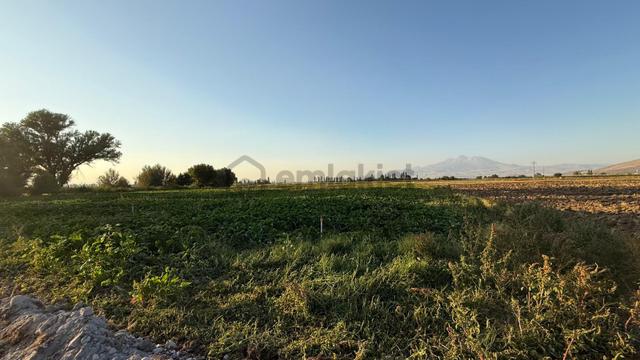 Öz Gaye Emlaktan Develi Gaziköy Karayer Mevkiinde Satılık Tarla 5