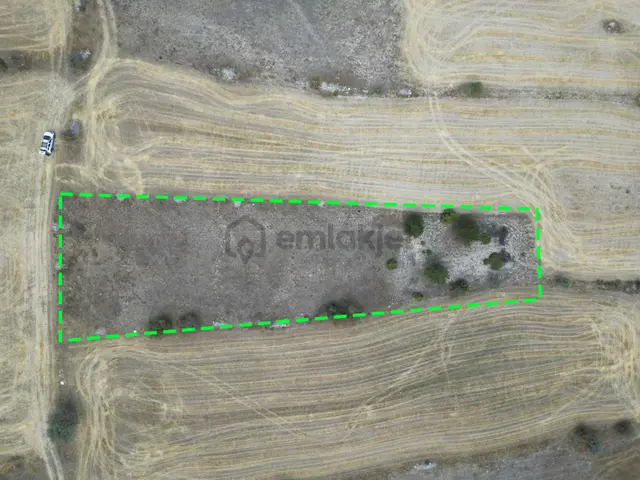 Kütahya Gediz Yağmurlar Köyü 2384 M2 Satılık Yatırımlık Tarla 3