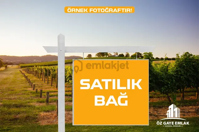 Öz Gaye Emlaktan Develi Gaziköy Mahallesinde Satılık Bağ 1