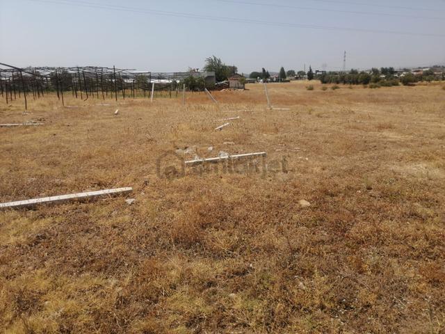Menderes Turyap'tan Dereköy'de 700 M² Satılık Hisse Tapulu Tarla 3