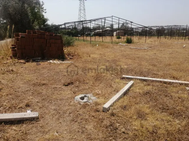 Menderes Turyap'tan Dereköy'de 700 M² Satılık Hisse Tapulu Tarla 5