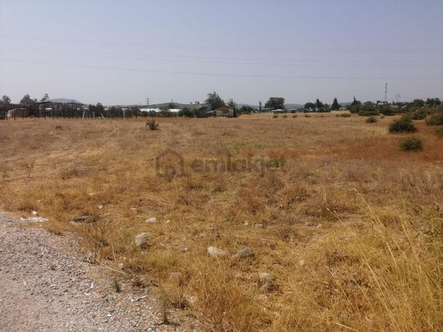 Menderes Turyap'tan Dereköy'de 325m² Satılık Hisse Tapulu Tarla 4