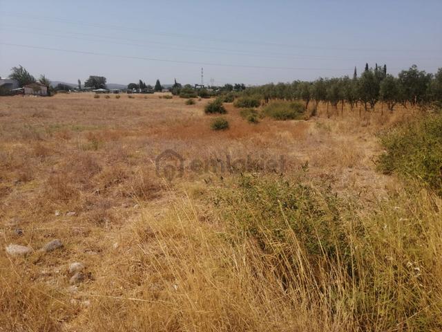 Menderes Turyap'tan Dereköy'de 325m² Satılık Hisse Tapulu Tarla 5