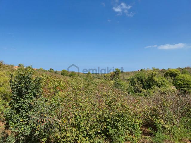 Realty Worlddan Kocaali Ağalarda 218m2 Arsa %25 3 Kat Yatırımlık 2