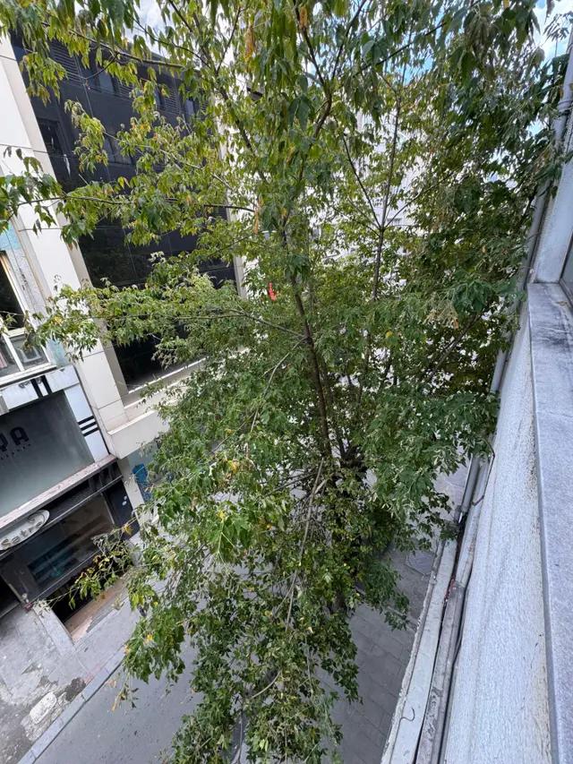 Erkutun'dan, Nişantaşı'nda Yangın Merdivenli Showroom, Ofis, Kumaş Atölyesi İçin Çok Uygun Kiralık. 3
