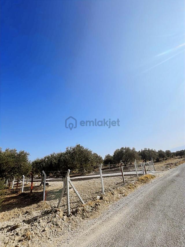 Kirvem Emlak'tan Kepenekli'de Harika Çiftlik Evi+zeytinlik 2