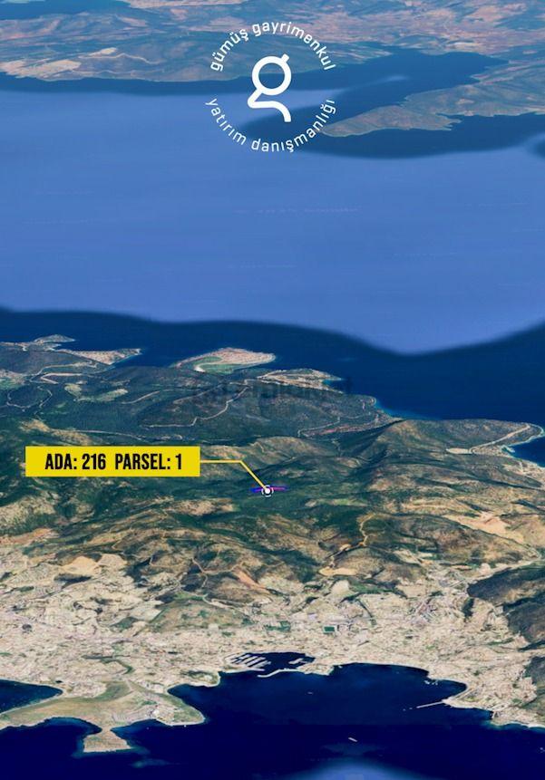 Bodrum Konacık’ta Pedasa Antik Kentine Yakın Zeytinlik 2
