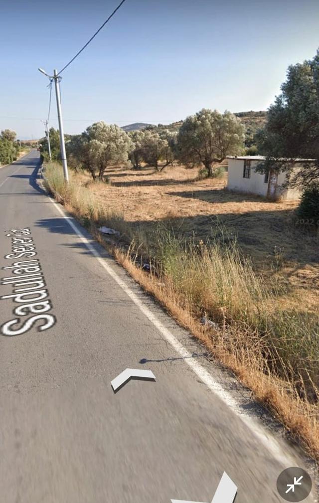 Yenifoça Bucak Mevkiinde Asfalta Cepheli Satılık Tarla 2