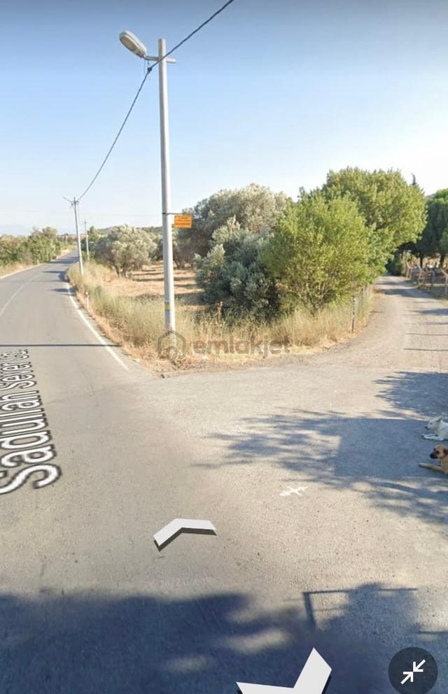 Yenifoça Bucak Mevkiinde Asfalta Cepheli Satılık Tarla 3