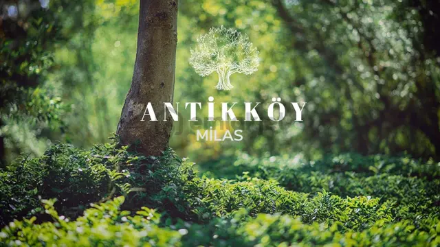 Ekoturizm İmarlı Milas Antikköy Projesine Geç Kalmayın 1