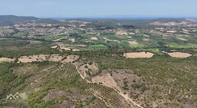 Çanakkale Biga Gürgendere Ormana Cepheli Satılık Arazi 2
