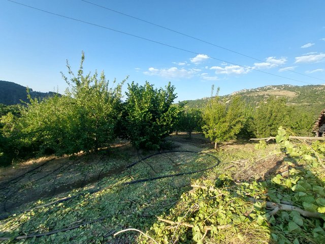 Konyaaltı Doyranda Satılık 5460m2 Tek Tapu Ev Ve Bahçe Konyaaltı Doyranda Satılık 5460m2 Tek Tapu Ev Ve Bahçe