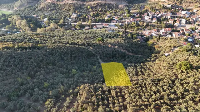 Kumla Konak Emlak”tan Satılık Yola Sıfır Zeytinlik 4