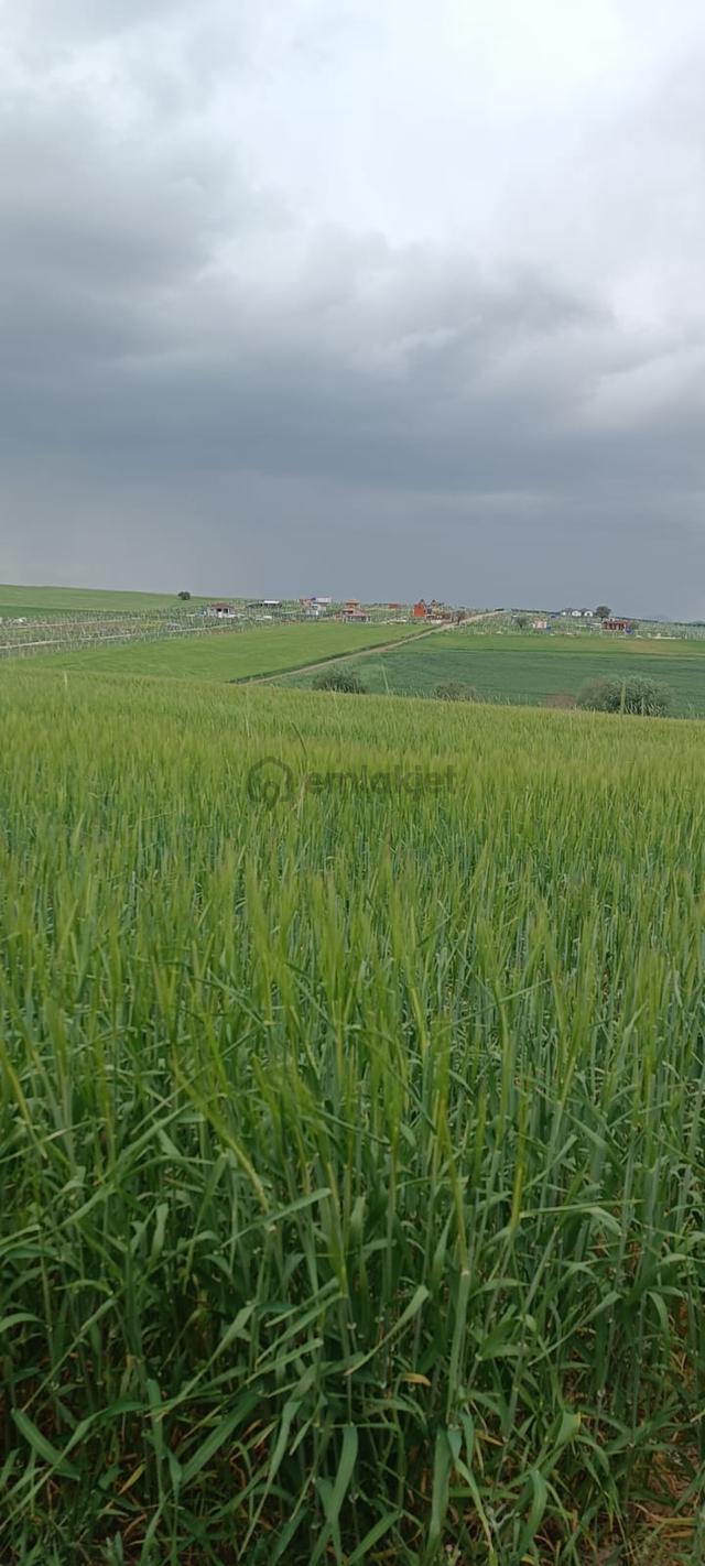 Ankara Akyurt Teberik De Satlık Arsa 4