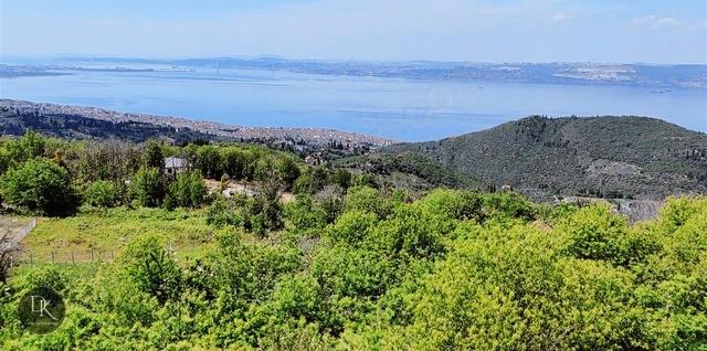 Deniz Gayrimenkul'den Karamürsel Ereğli'de Köprü Manzaralı Arazi 3