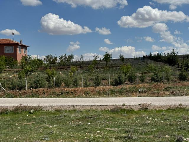 Mir Grup'dan Meram Bayat Mahallesinde Hatunsaray Yoluna Cephe İmarlı Arsa 5