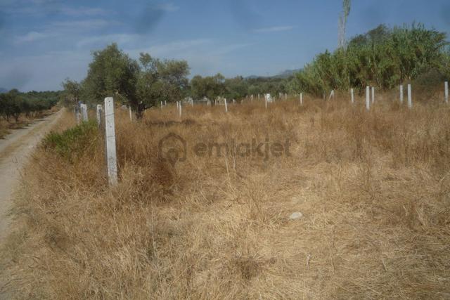 İzmir Torbalı Gold Emlaktan Satılık Bahçe 5