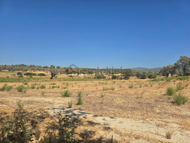 Milas-ören Pinar Mahallesi Köy İçi "6475 M2" Denize 10 Dk. Mesafede !!! 4