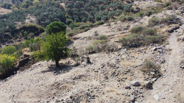 Kozak Çelebi Emlak Tan Bergama Ya 10 Dakika Mesafede Arsa 5