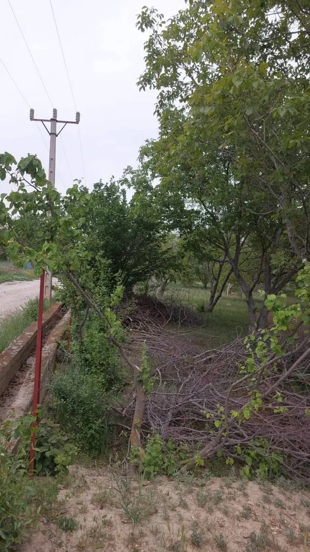 ✅korkuteli✅çomaklı Da ✅satılık 2.621m2 Bahçe✅resmi Yol Var 4