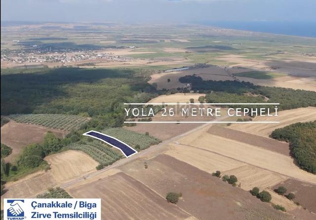 Çanakkale Biga Kepekli 3.840 M2 Satılık Verimli Zeytinlik 3