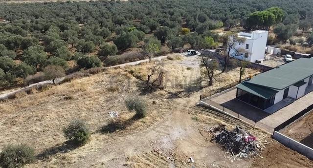 İmarlı Arsa Burhaniye Şarköy De 100 De 40 İmarlı Olan Arsa 4