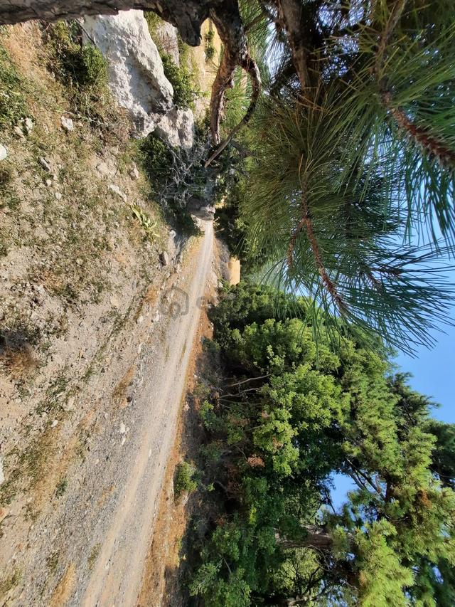 Fethiye, Nif Te, 2 100 M2, Satılık, Kelepir Arazi 5