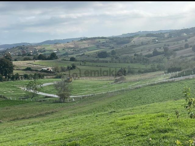 Sakarya Kaynarca Kertilde Satılık Hisseli Arsa 1