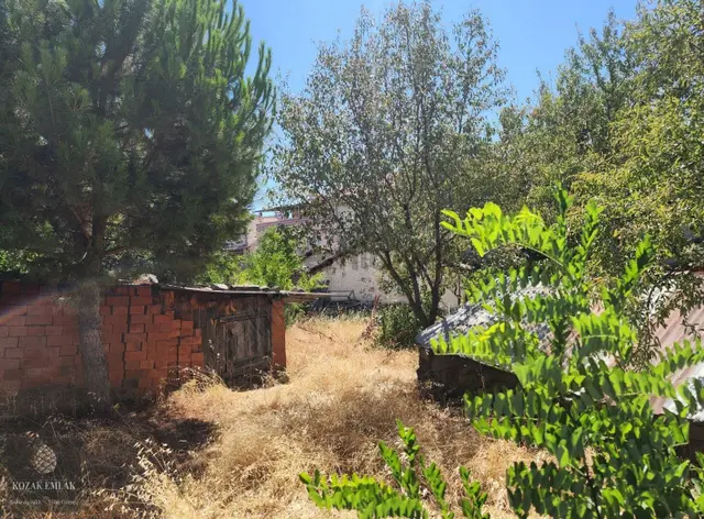 İzmir Bergama Kozak Aşağıbey Köyünde Satılık Köy Evi Ve Arsa 1