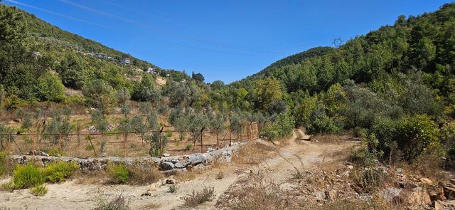 Alanya Mahmutseydi Köyünde Acil Satılık 1.565 Metre Tarla Hazır Kurulu Bahçe 3