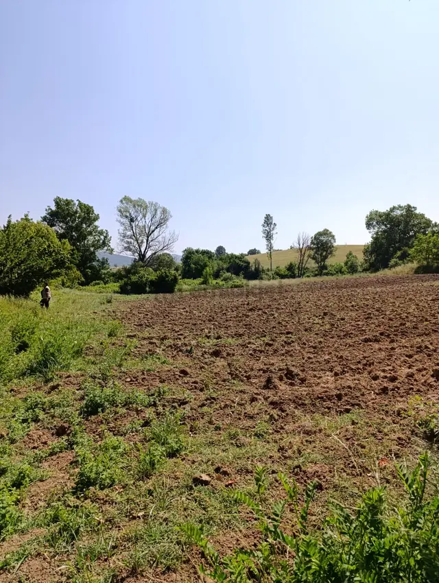 Bursa Yenişehir Fethiye Satılık 3000m2 Tarla 4